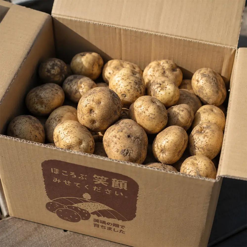 じゃがいも 【令和8年産予約受付】北海道 北あかり5kg じゃがいも [006-29]