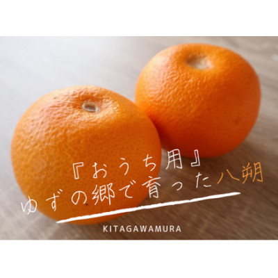 
                  ＜規格外＞北川村の八朔【1601013】
                