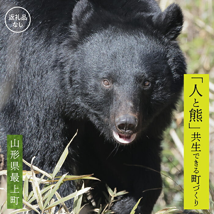 【ふるさと納税】【お礼品の提供なし】熊との共生を目指して～熊による人的被害の防止対策・環境整備へのご支援を～