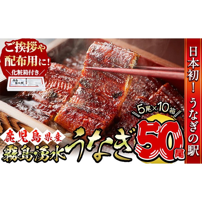 【数量限定】【化粧箱10箱】ご挨拶・配布用にも！鹿児島県産 山田水産の霧島湧水鰻＜計50尾(5尾×10箱)/計8kg(1尾あたり160g)＞ wc5-002
