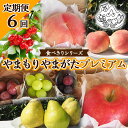 【ふるさと納税】【定期便6回】★食べきりシリーズ★やまもりやまがたプレミアム 【令和6年産先行予約】FS23-735