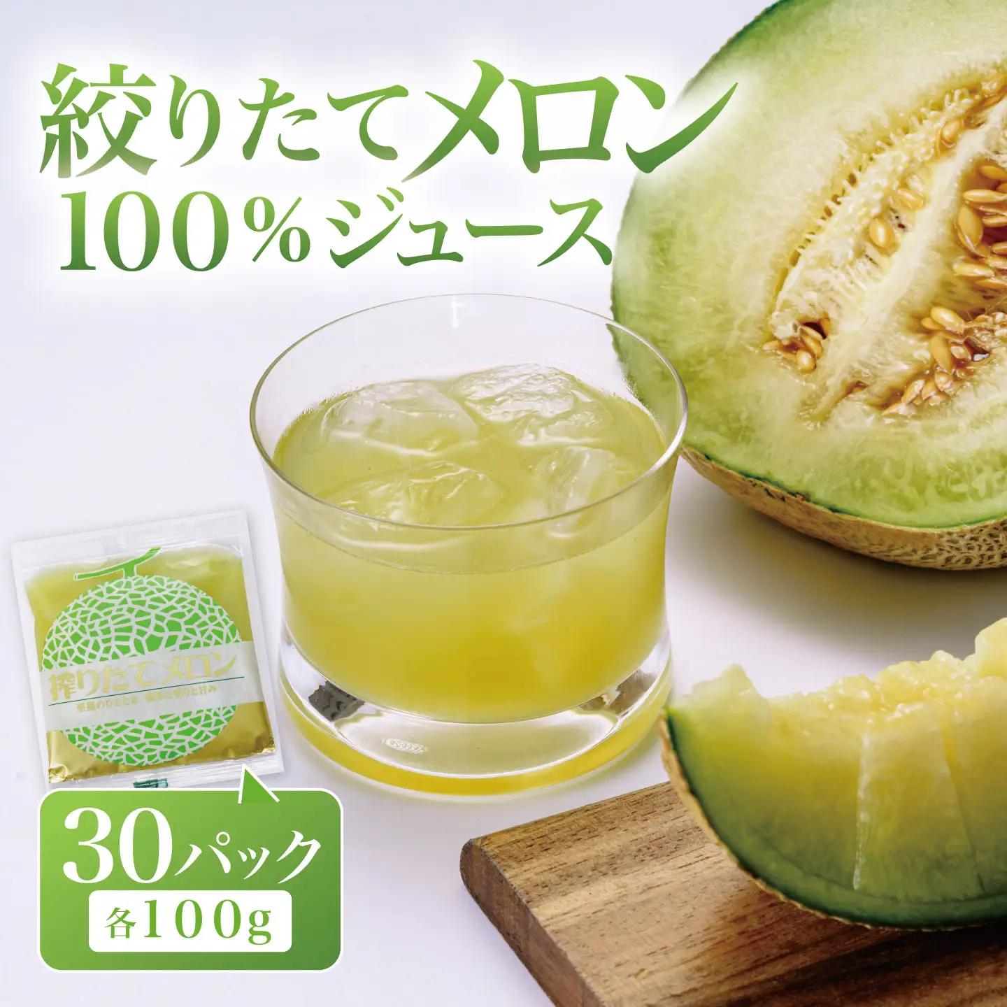 搾りたて メロン100%ジュース 100g×30P メロン