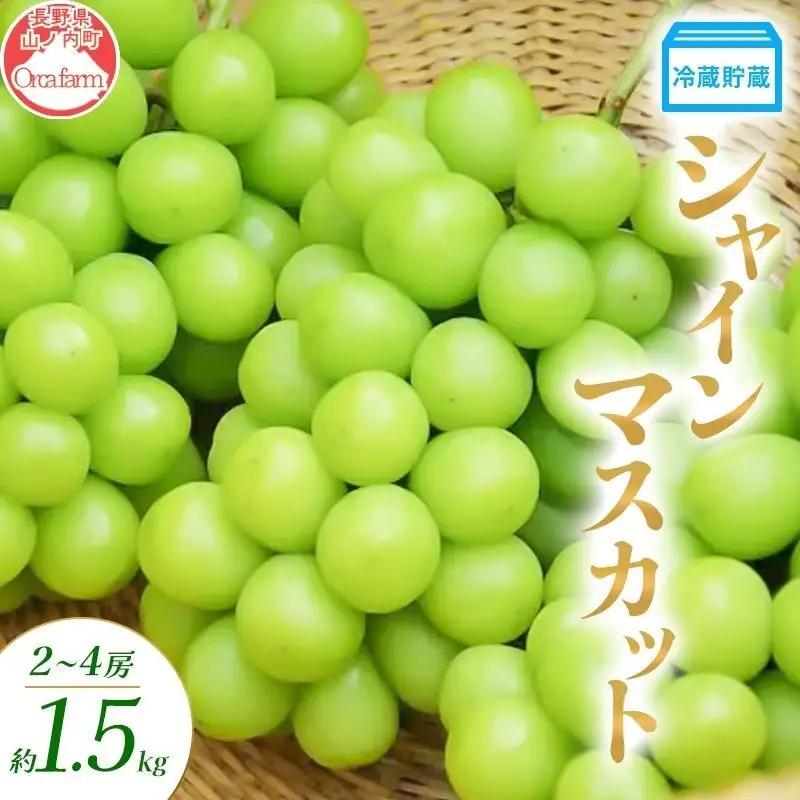 ぶどう 冷蔵貯蔵 シャインマスカット 2～4房 1.5kg ぶどう