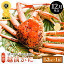 【ふるさと納税】≪浜茹で≫越前がに 特大サイズ × 1杯（生で1.2kg以上）食べ方しおり付【雄 ズワイガニ ずわいがに 越前ガニ 姿 ボイル 冷蔵 福井県】【12月発送分】希望日指定可 備考欄に希望日をご記入ください [e14-x009_12]