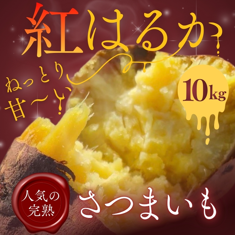 【2026年11月発送分先行予約！】紅はるか さつまいも 10kg ｜ 熟成 数量限定 甘い 焼き芋 バター焼き サラダ 天ぷら スイーツ スイートポテト 大阪 河内長野 中村オリジナルぶどう園 訳あ