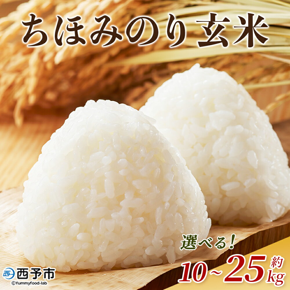 【ふるさと納税】新米＜令和7年産 ちほみのり 玄米 10kg / 25kg＞げんまい 米 こめ コメ ご飯 穀物 10キロ 25キロ 産地直送 愛媛県産 西予市産 特産品 やまこのうえん 愛媛県 西予市【常温】『2025年9月上旬より順次出荷予定』