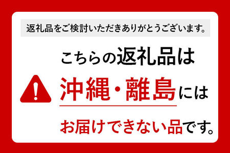 仙台箪笥 35巾脚付すきまチェスト 朱色漆塗り KEB-120B（お申込書返送後3ヵ月～8ヵ月程度でお届け）