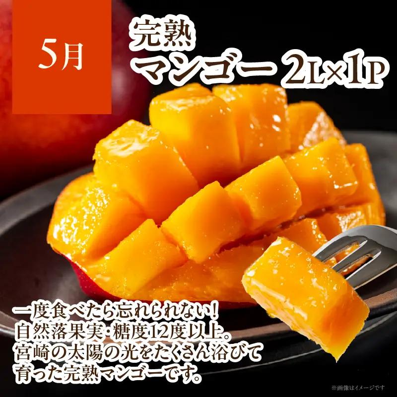 【4ヶ月定期便】 JA綾町 いつでもフルーツ定期便 《きんかん／日向夏／マンゴー／ライチ》 果物 フルーツ くだもの 柑橘 完熟きんかんたまたま 種なし 完熟マンゴー おすすめ おすそ分け おやつ ス