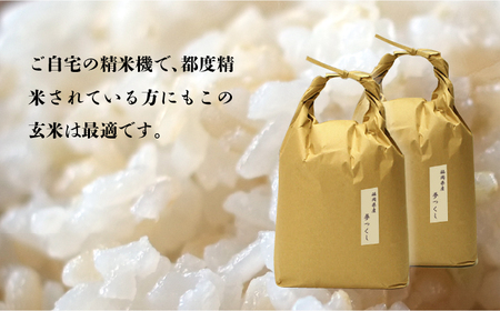 【全12回定期便】福岡の食卓ではおなじみの人気のお米「夢つくし」5kg×2袋 [10kg] [玄米]《築上町》【株式会社ビーキューブ】[ABDF129] お米おすすめ お米定番 お米人気 お米お取り寄