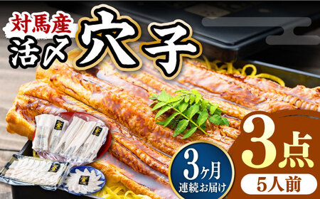 【全3回定期便】対馬産 活〆 穴子 ３点 セット D 新鮮 あなご 刺身 天ぷら 海鮮 5人前  [WAS015]