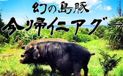 令和7年1月発送　産直「今帰仁アグー」生産者おすすめセッ