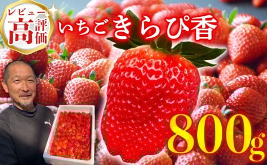【予約受付】【2026年1月から順次発送予定】きらぴ香 800g いちご 新鮮 国産 鈴木農園の朝摘みいちご きらぴ香 パック デザート フルーツ イチゴ 苺 おいしい 贈り物 果物 ストロベリー 甘い 朝摘み いちご おやつ 完熟 直送 ギフト 産地直送 国産 おすすめ 静岡県 牧之原市 鈴木農園