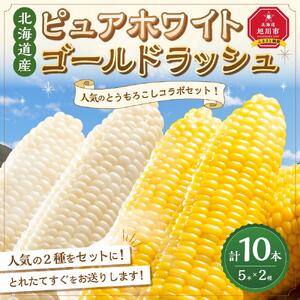 【2026年先行予約】とうもろこしコラボセット!　ピュアホワイト5本×ゴールドラッシュ5本（2026年8月下旬から発送開始予定）とうもろこし _03648