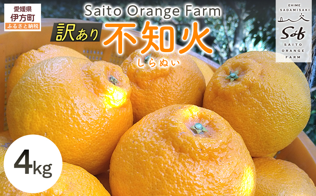 【先行予約】Saito Orange Farmの訳あり不知火4kg（2027年3月上旬頃より順次発送予定） IKTAQ011