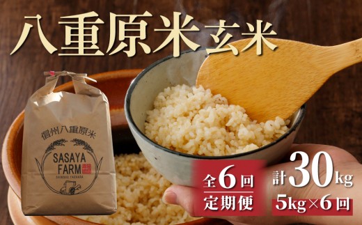 令和8年新米予約【6回定期便】八重原米5kg（5kg×1袋）玄米　※2026年10月以降順次発送｜笹屋農園「農薬削減長野県認証取得」特A米　コシヒカリ