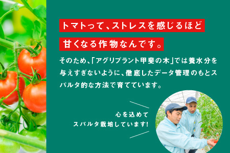 【先行予約】【ギフト】スパルタ生まれの笑ちゃんトマト(200g×4パック入) GC-1 【11月中旬以降順次発送】 先行予約 先行受付 トマト 産地直送 フルーツトマト フルティカ