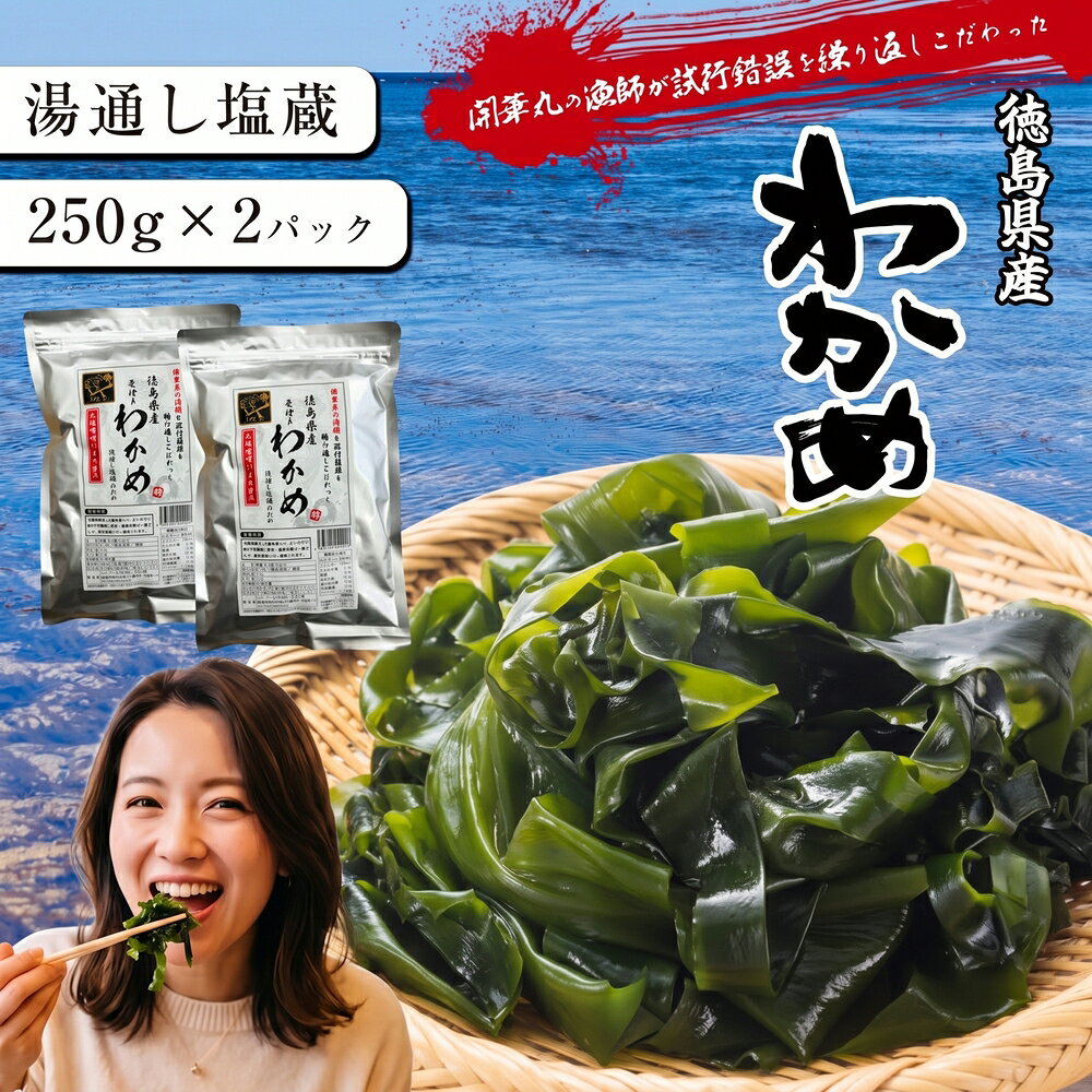 【ふるさと納税】開華丸の漁師が試行錯誤を繰り返しこだわった、徳島県産わかめ 250g×2パック　【松茂町】