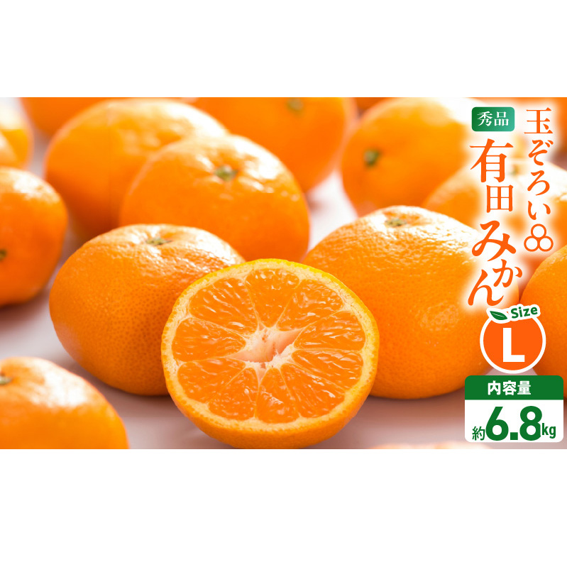 【2026年先行予約】みかん Ｌサイズ 秀品 箱込 7.5kg ( 内容量 6.8kg ) 有田みかん 和歌山県産 産地直送 贈答用 【みかんの会】_MK1043