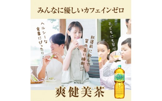 『定期便：全3回』爽健美茶2000mlPET×6本