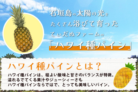 石垣島産 ハワイ種パイン 3～4玉セット 約4.2㎏【 産地直送 石垣島産 石垣 完熟 パイン パイナップル 】TD-7