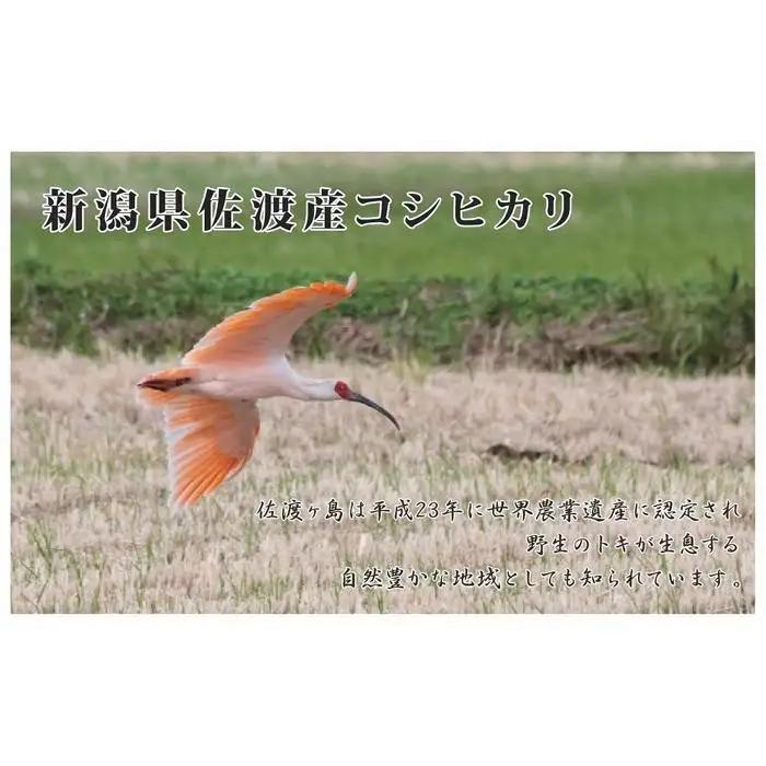 【先行予約 定期便 15kg 3回 令和8年産】コシヒカリ 計45キロ 新米 | 新潟県 佐渡市 コシヒカリ