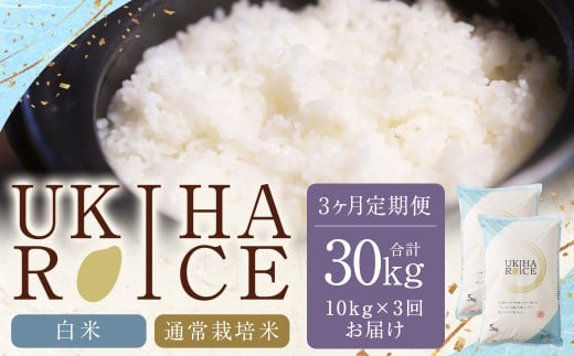 【3ヶ月定期便】 みずほファーム UKIHA RICE 白米 5kg×2袋×3回 （通常栽培米） 計30kg ヒノヒカリ ひのひかり 精米 米 こめ コメ お米 おこめ 白米 精米 ごはん ご飯 お中元 お歳暮 ギフト プレゼント 贈答品 定期便 おすすめ 国産