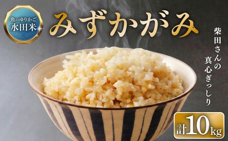 
            【数量限定 令和7年産】 環境こだわり栽培 ひこにゃん米 みずかがみ 玄米 10kg 滋賀県認証 魚のゆりかご水田米 10 令和7年 7年 順次発送 滋賀 彦根
          