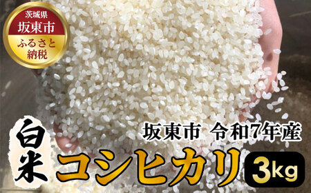白米　コシヒカリ3kg【令和7年産】 ／ こしひかり 令和7年 新米 米 お米 おこめ こめ コメ 精米 白米 ご飯 国産米 3kg 3キロ おいしい お取り寄せ 産地直送 産直 坂東市産 茨城県産 茨城産 茨城県 特産品 No.387