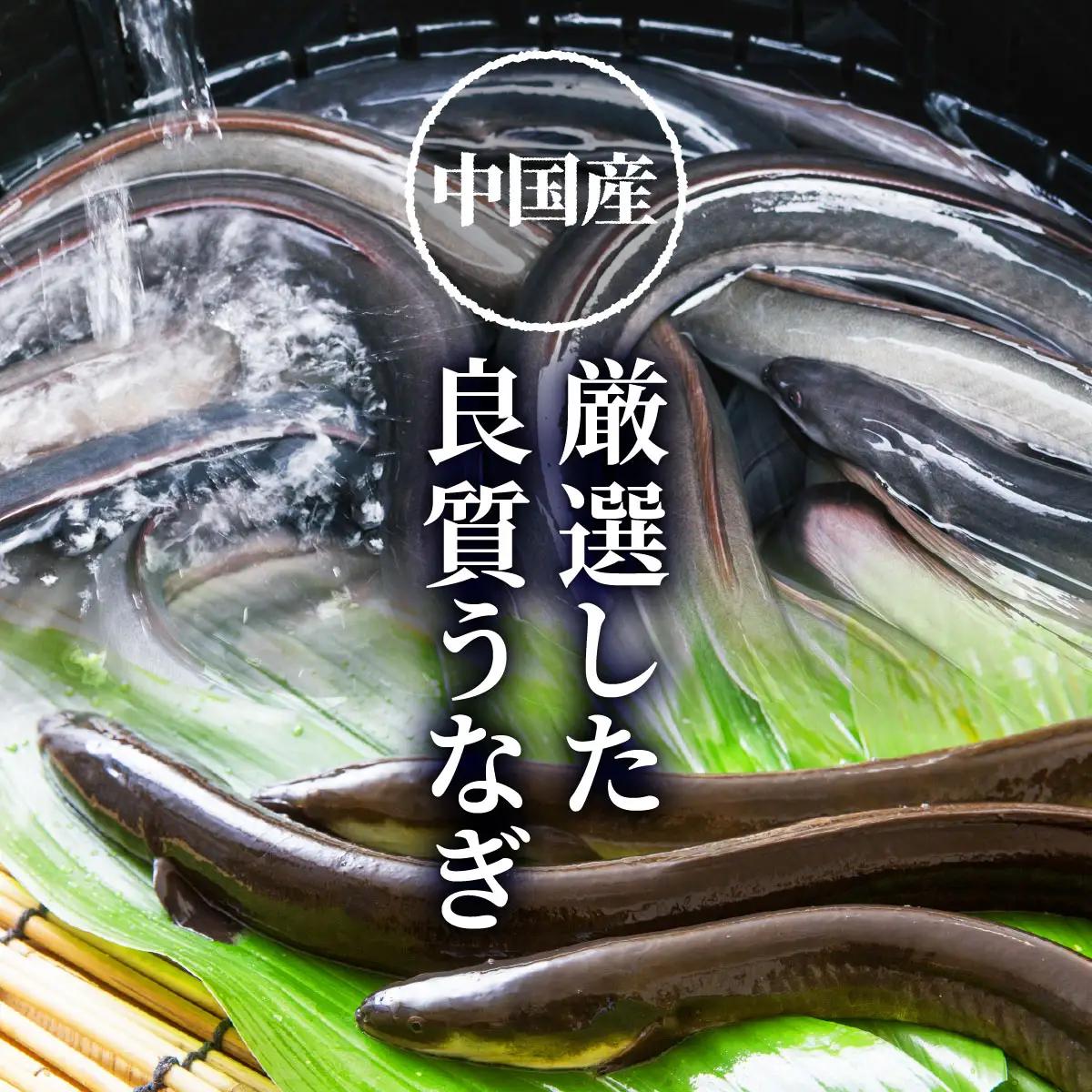 大容量400g！特大うなぎ蒲焼200g×2尾