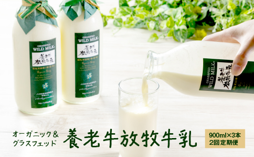 【定期便：全2回】オーガニック＆グラスフェッド養老牛放牧牛乳900ml×3本【1300702】
