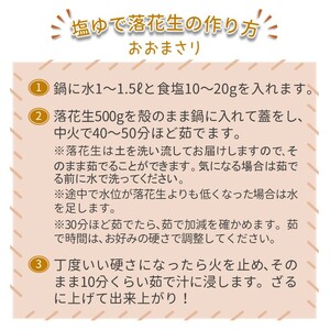 【今秋収穫分】落花生 おおまさり 2.5kg 殻付き 予約受付 生落花生 千葉県産 ピーナッツ 大粒 産地直送