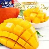 2L～3L マンゴー3～6玉（約2kg） KP-25