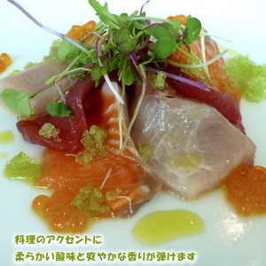 【2026年10月上旬から順次発送】フィンガーライム 50g 愛媛県 中島産| ライム 酸味 さっぱり 添え物 料理 チューハイ アルコール 炭酸 飲み物 飲料 産地直送 国産 愛媛 松山【NM020
