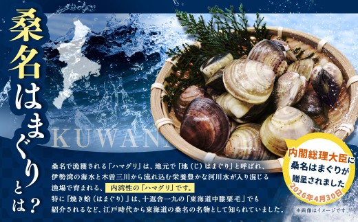 【指定日必須】【7月・8月発送不可】【特大】 丸元水産 桑名産蛤（ハマグリ） 5.0kg はまぐり ハマグリ 蛤 天然 活 砂抜き済 特大 大粒 肉厚 BBQ キャンプ 網焼き 魚介 貝 魚貝 活はまぐり 焼きはま 海鮮 網焼き 酒蒸し お吸い物 パエリア パスタ 桑名 日にち指定 焼きはまぐり 焼き蛤 その手は桑名の焼きはまぐり 特産