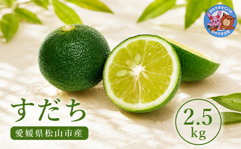 【2026年8月上旬より順次発送】すだち 2.5kg  家庭用 愛媛県産 |  不揃い キズあり 訳あり フルーツ 果物 くだもの 農家直送 スダチ すだち果汁 焼き魚 ぶり しいたけ お酒 酢 旬 