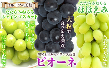 たたらみねらる アンサンブルセット 3カップ 各300g