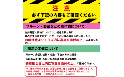 《2月から順次発送》 先行予約 訳あり いちご やよいひめ 12パック 苺 ストロベリー 果物 フルーツ ケーキ ゼリー ジュース アイス シャーベット チョコ フルーツサンド いちご大福 大福 洋菓