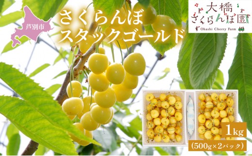 
                  【先行受付】さくらんぼ スタックゴールド1kg（500g×2パック）サクランボ 黄 大橋 芦別 希少 [№5342-0285]
                