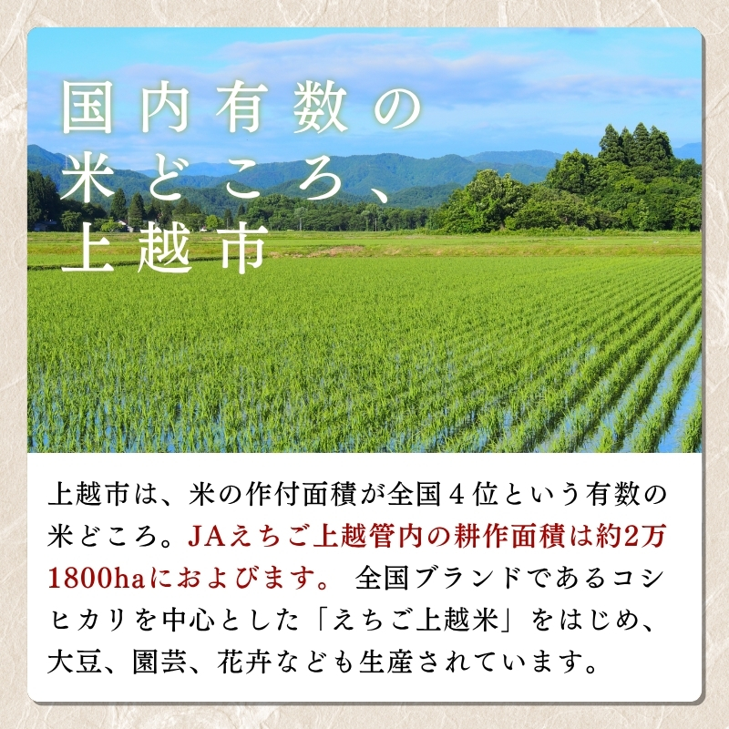 【えちご上越米】令和7年産 新潟県上越産 コシヒカリ 10kg 10キロ 精米 こしひかり JAえちご上越