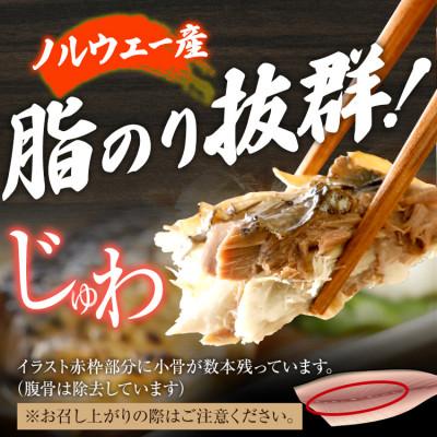 ふるさと納税 田川市 さば 塩焼鯖 2枚×4P(約1kg)(田川市) |  | 02