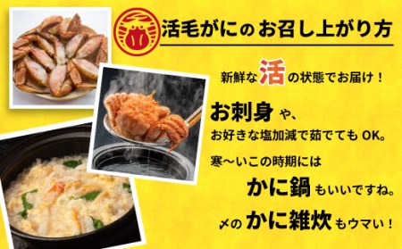 【先行受付開始！】漁協の活毛がに 大サイズ１尾※日付指定対応不可※[02-1204]