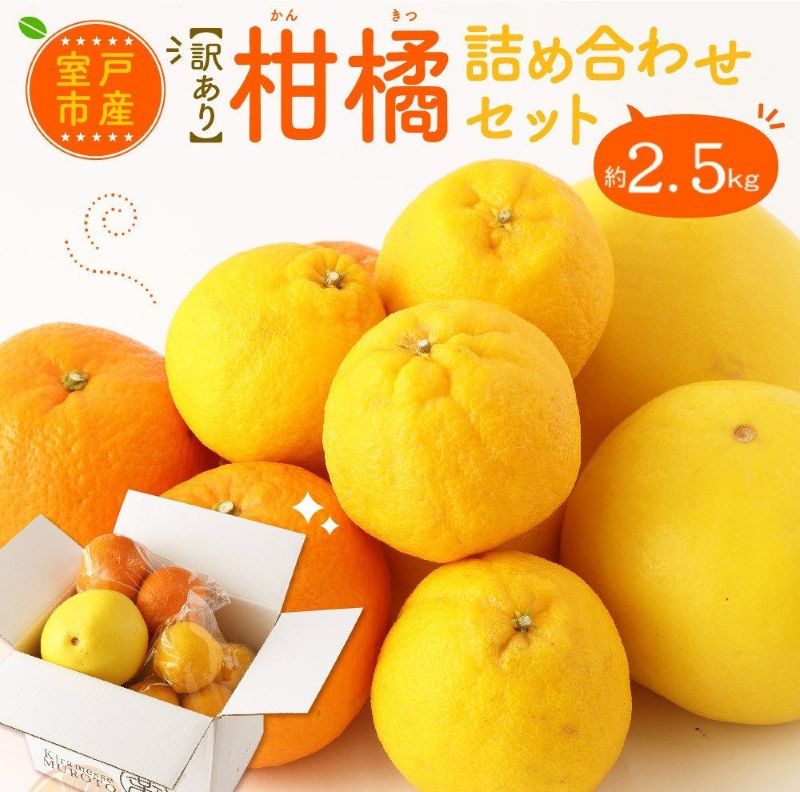 【ふるさと納税】 【累計申込4,000件以上！！】 柑橘 詰め合わせセット 約2.5kg｜ポンカン 文旦 不知火 柑橘 傷あり 果物 フルーツ 大人気 果汁たっぷり 農家直送 家庭用 みかん ミカン 大小混合 ふるさと納税みかん ふるさと納税文旦 ふるさと納税ポンカン 高知県 室戸市