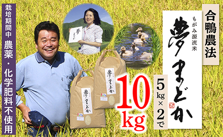 【令和6年産】【希少品種】特別栽培米　夢まどか10㎏（5kg×2）