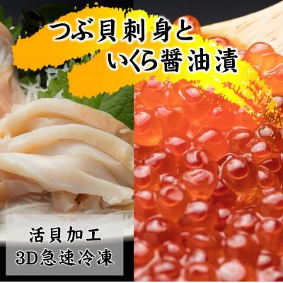 ふるさと納税 斜里町 国産ツブ貝(刺身用)90g×3パック【現地加工品】と鮭卵いくら醤油漬け200g×1箱