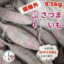 【ふるさと納税】五右衛門の 訳ありサツマイモ 9.5kg （サイズ 品種 大きさ 全て混載）さつまいも 甘藷 鉾田 茨城 訳あり わけあり ワケアリ 規格外