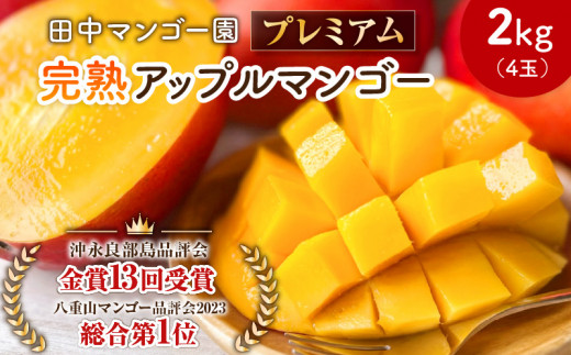 【2027年先行予約】田中マンゴー園のプレミアム完熟アップルマンゴー2kg（4玉） 　W001-012u