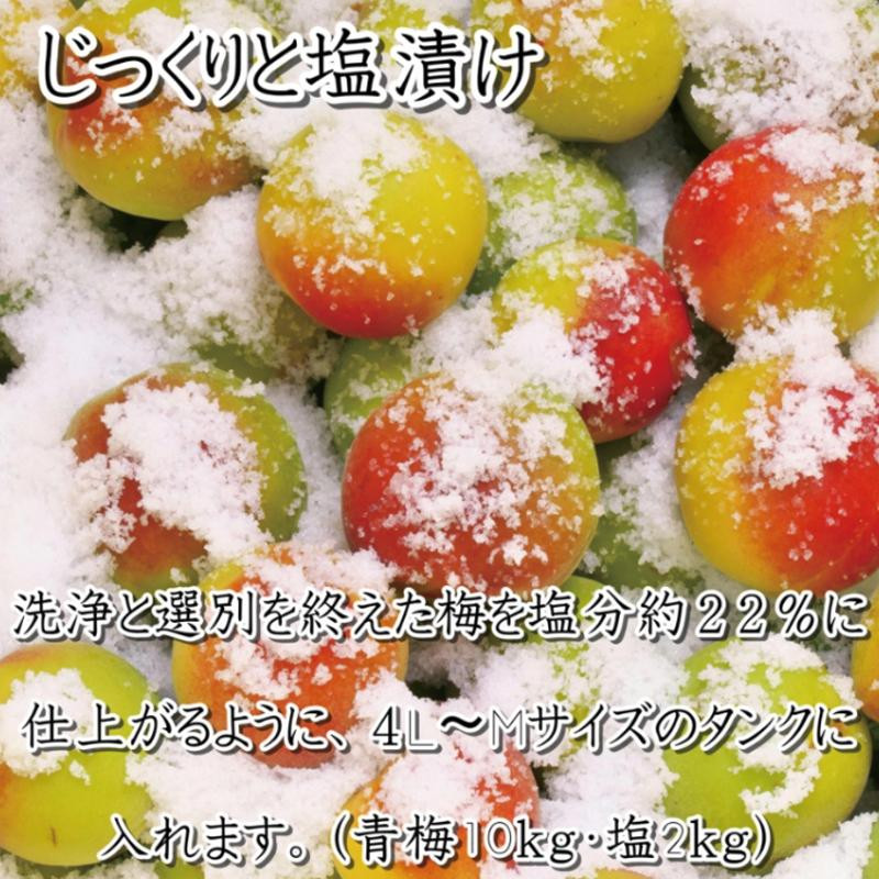いなみの里梅園 紀州南高梅 白干梅850g 塩分約15％【和歌山産】印南町