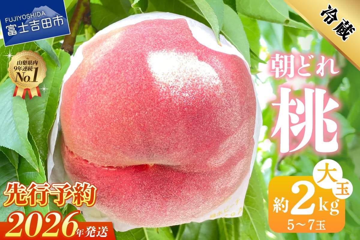
            【2026年先行予約】山梨の朝どれ桃2kg　大玉5玉～7玉  もも 山梨県産 モモ 厳選 フルーツ 果物 くだもの 山梨 富士吉田市
          
