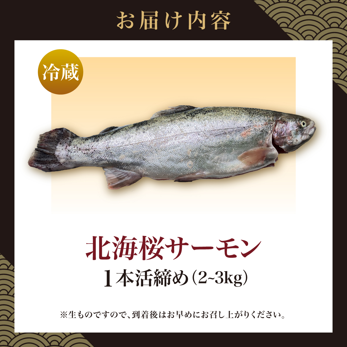 北海桜サーモン 1本活締め 2~3kg 新鮮 刺身 冷蔵 陸上養殖 生食可 桜色 トラウト サーモン 鮭 生鮭 サケ さけ 一本 1匹 一匹 姿 まるごと 国産 北海道産 道産 松前産 産地直送 お取