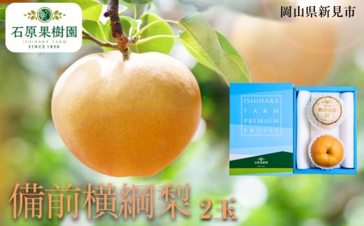 備前横綱梨 (あたご梨) 2玉 1玉約1～1.4kg 【先行予約 2025年11月中旬から順次発送】